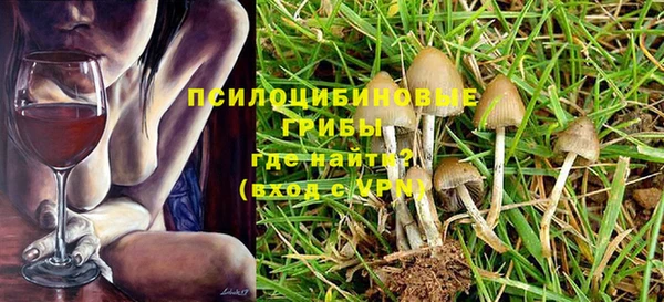 шишки Алексин