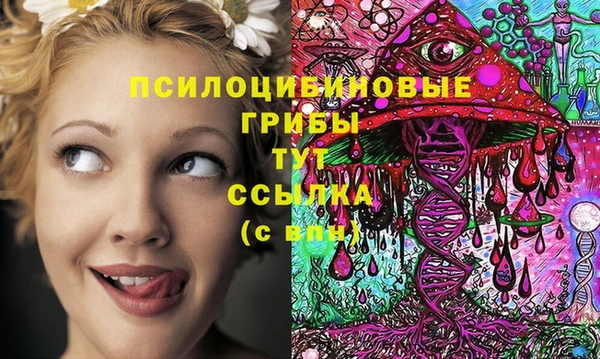 соль курить ск Алзамай