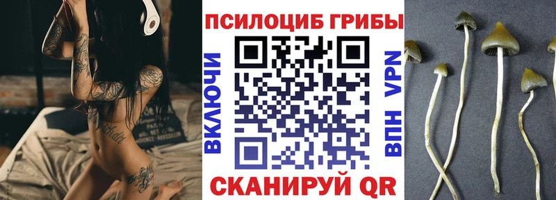 Псилоцибиновые грибы Psilocybine cubensis  Дмитриев 